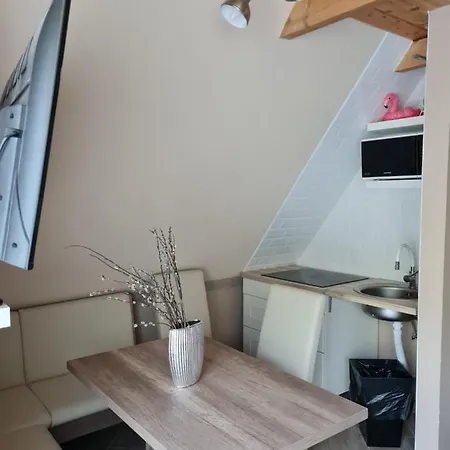 Flamingo Apartman Balatonszarszo Exterior photo